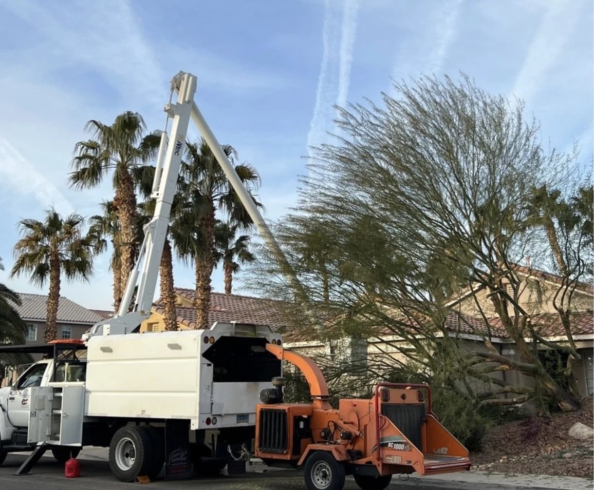 Red Gator Tree Trimmin' & Landscape LLC
