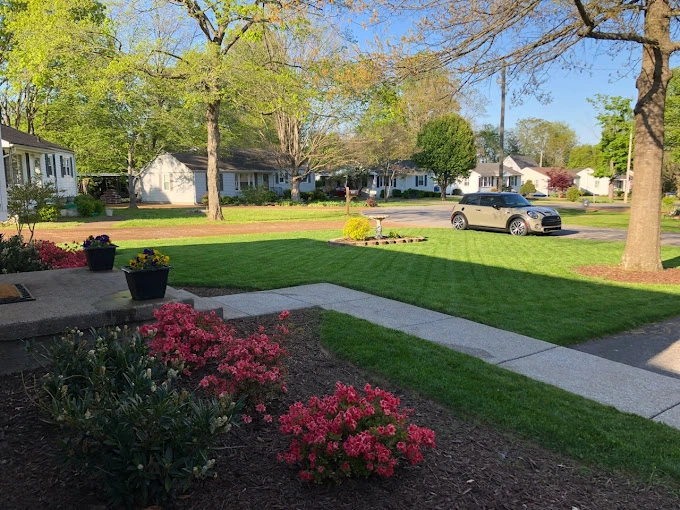 LawnWise