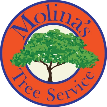 Molina’s Tree Service