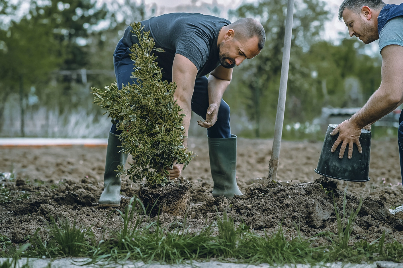 Terry's Tree Service