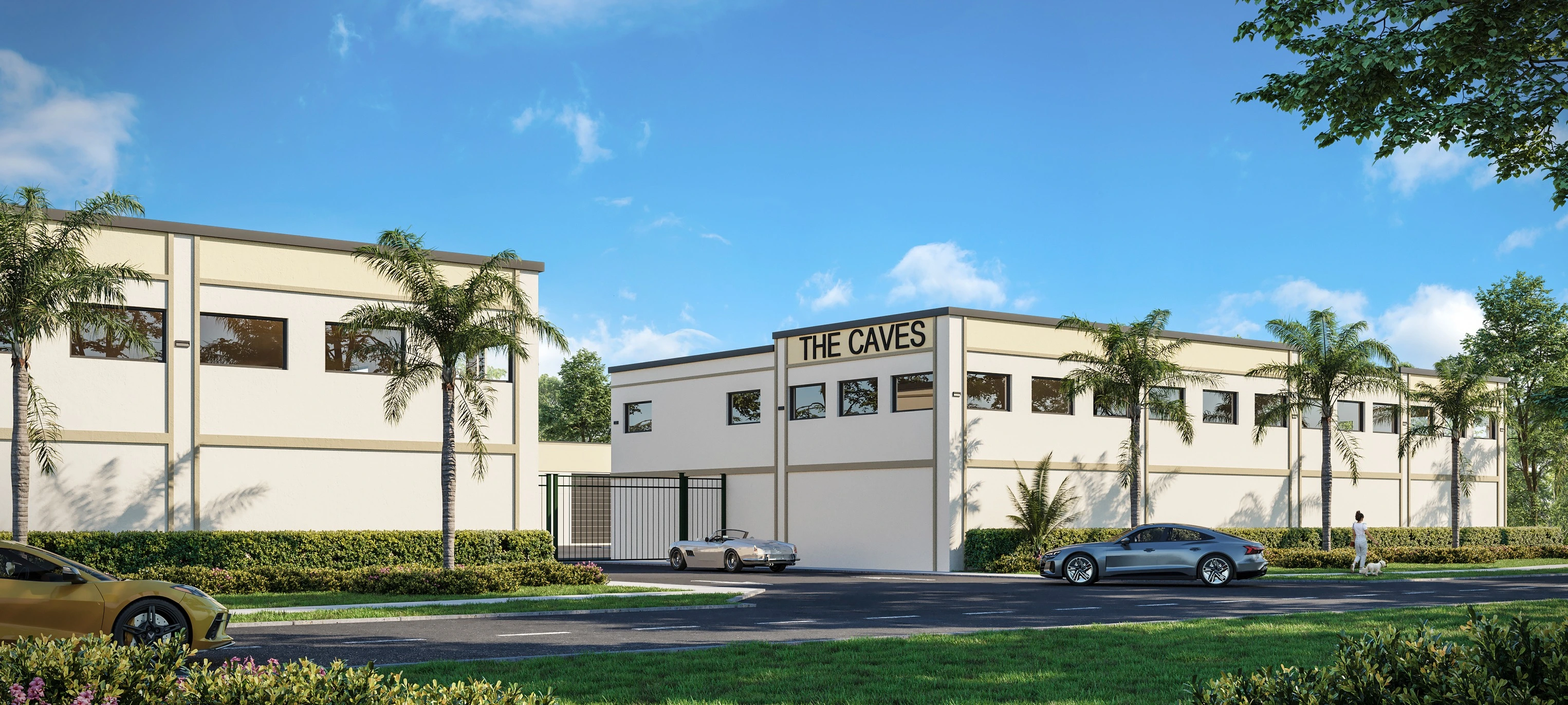 The Caves