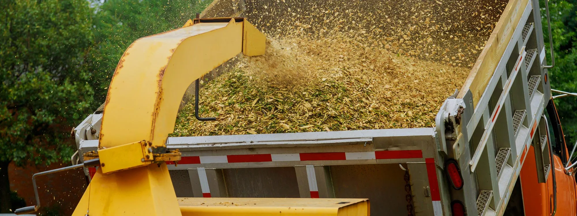 Hayward Tree Service