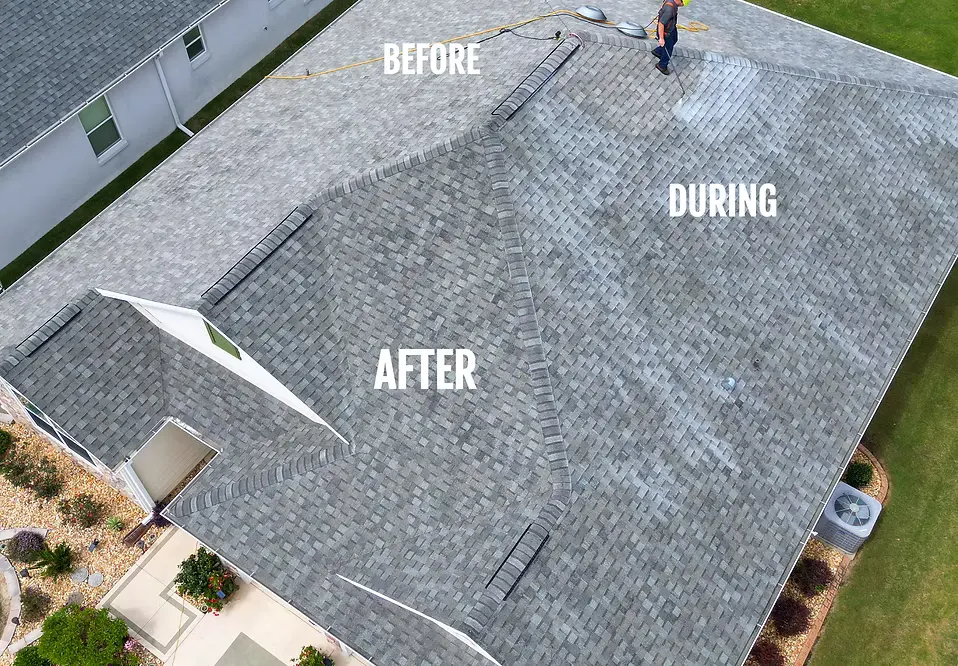 Roof Rejuvenate LLC