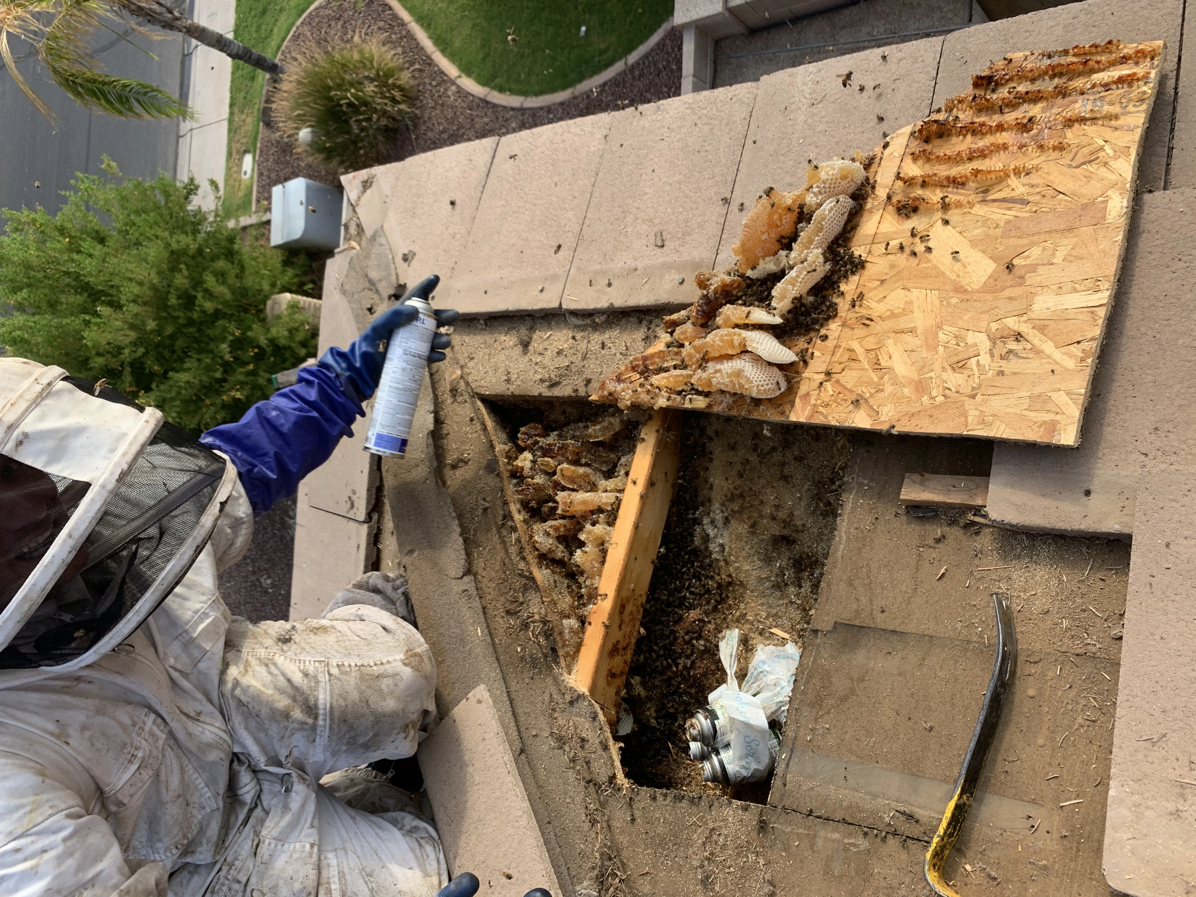 Raptor Pest Solution
