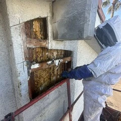 Raptor Pest Solution