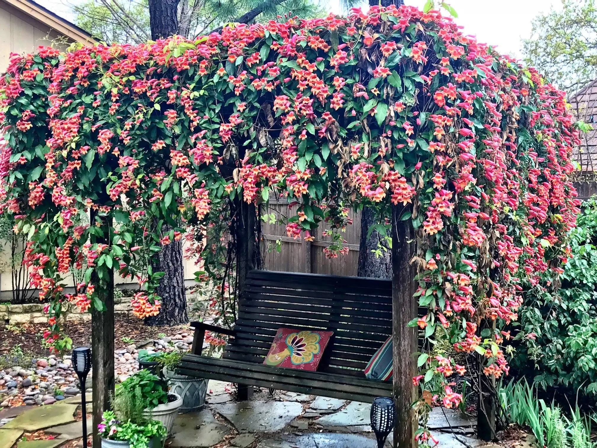 Changing Color