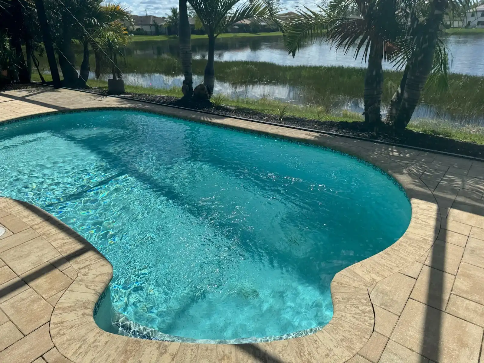 Aquatic Architechs of SWFL