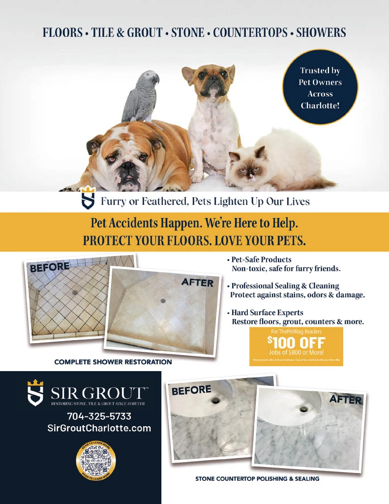 Pet-Friendly Grout Cleaning and Sealing