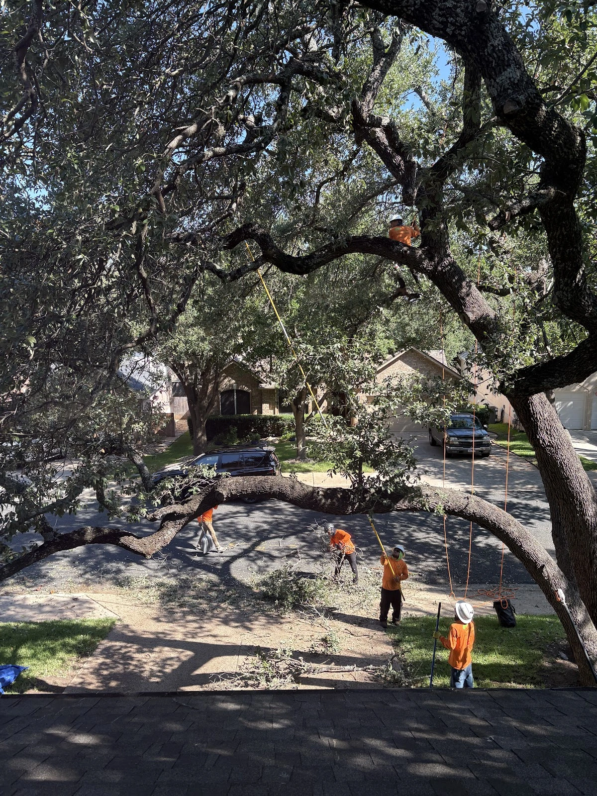 Good Guys Tree Service