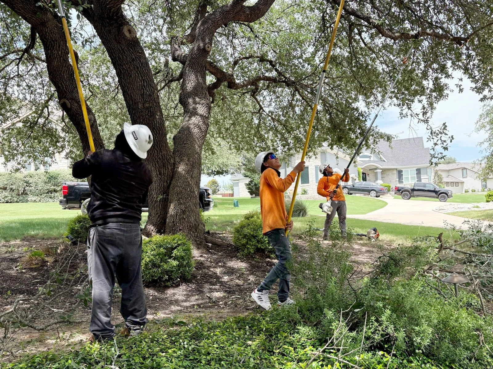 Good Guys Tree Service