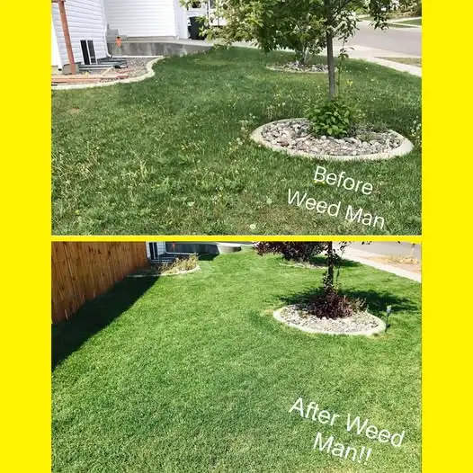 Weed Man Lawn Care