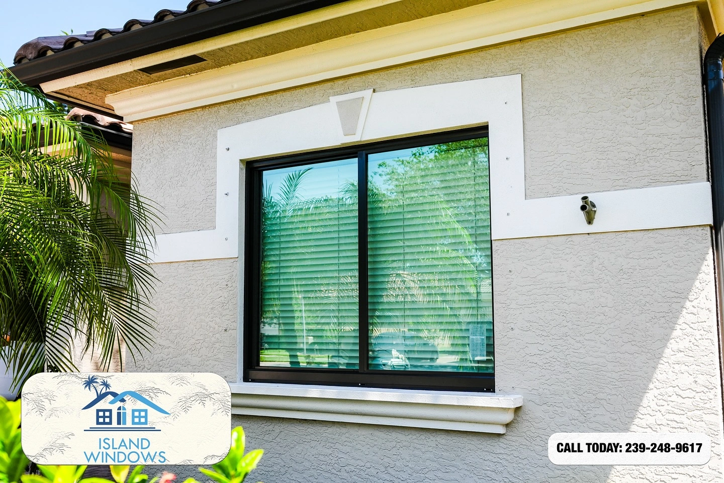 Island Windows