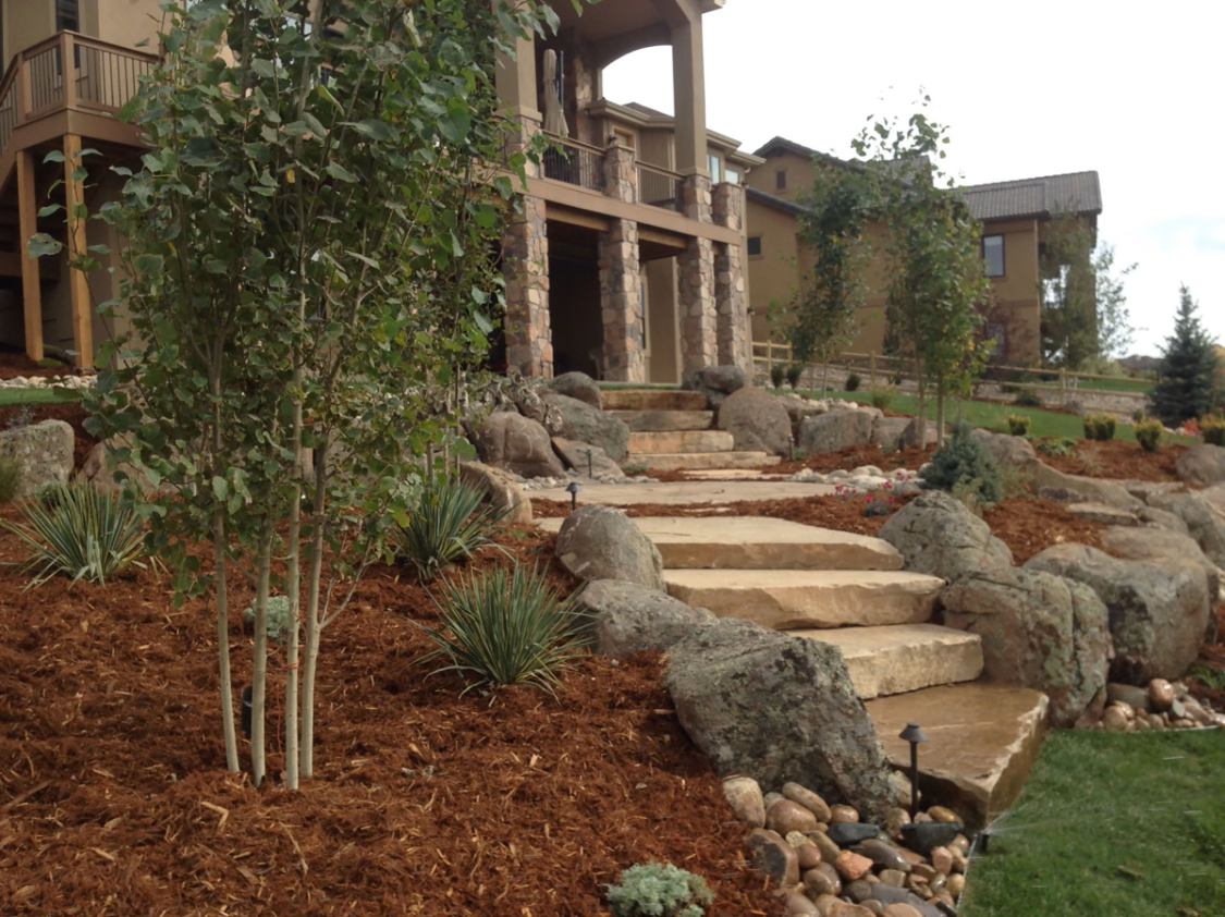 Meglen's Waterwise Landscapes