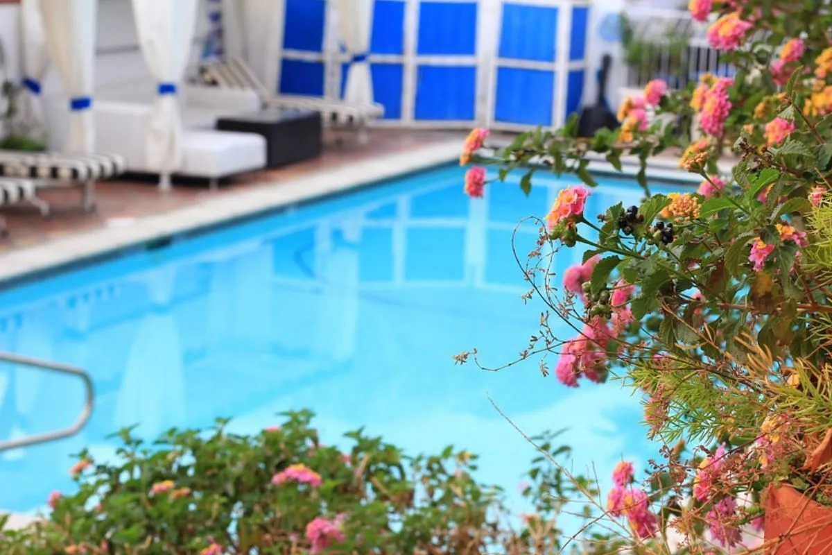 Ocean Blu Renovations