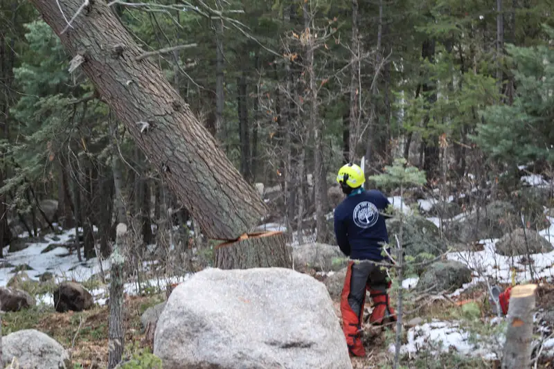 Complete Tree Service