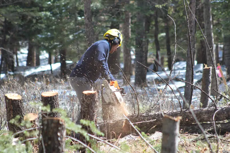 Complete Tree Service