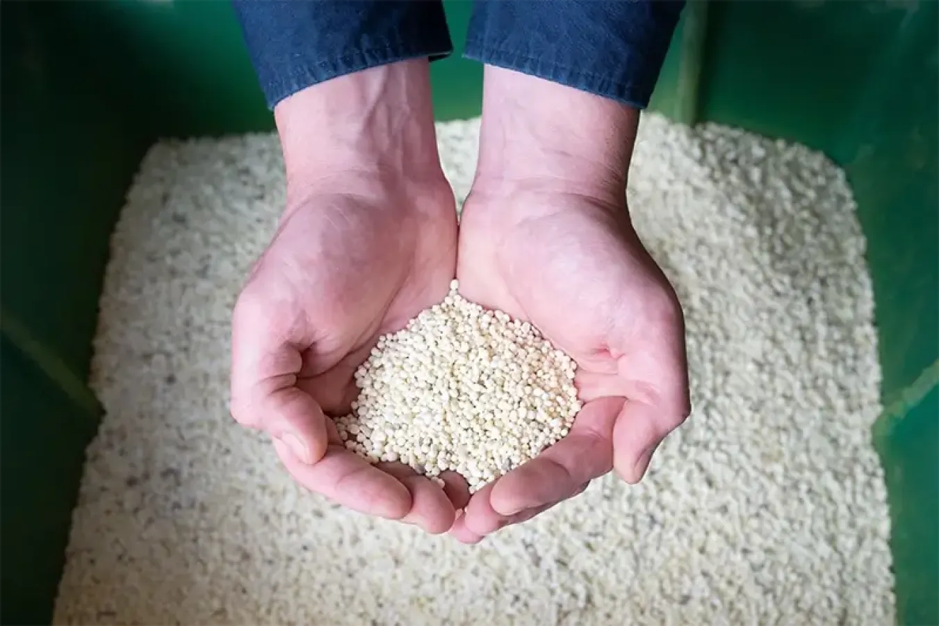 Turf Care Enterprises Inc