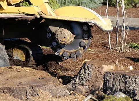 South Valley Tree Service