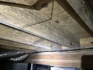 Crawl Space Encapsulation 
