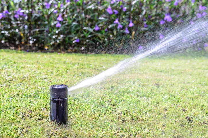 Lawn Care & Irrigation