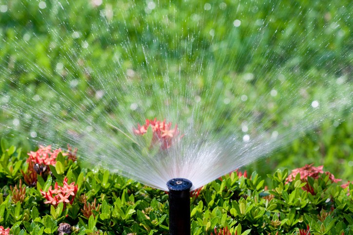 Lawn Care & Irrigation