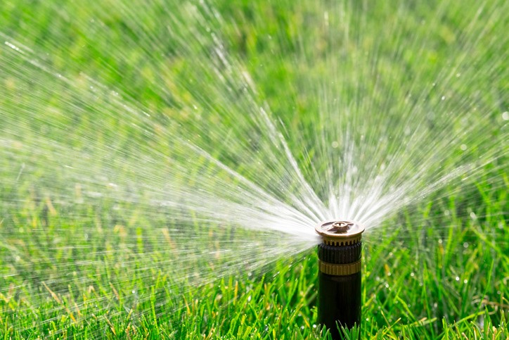 Lawn Care & Irrigation