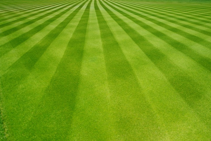 Lawn Care & Irrigation