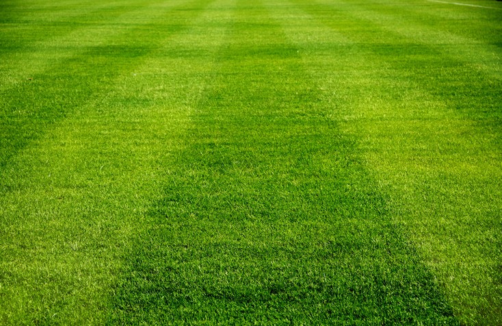Lawn Care & Irrigation