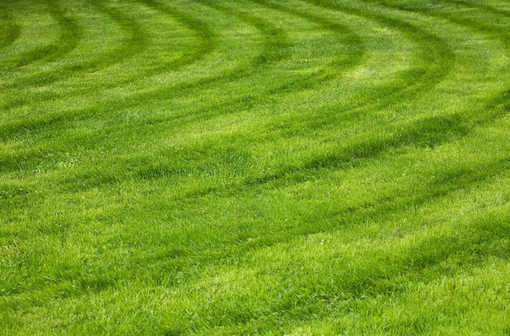 Lawn Care & Irrigation