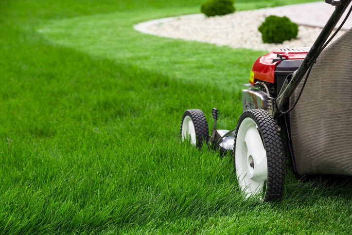 Lawn Care & Irrigation