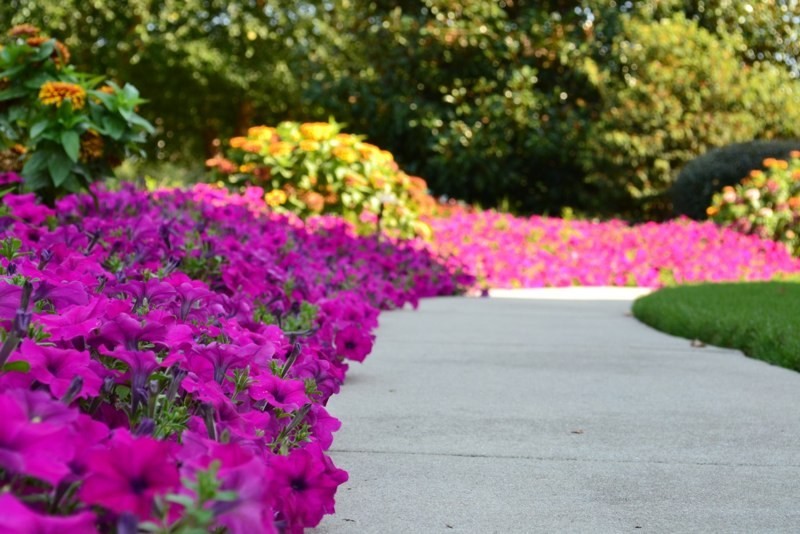 Landscaping & Hardscaping