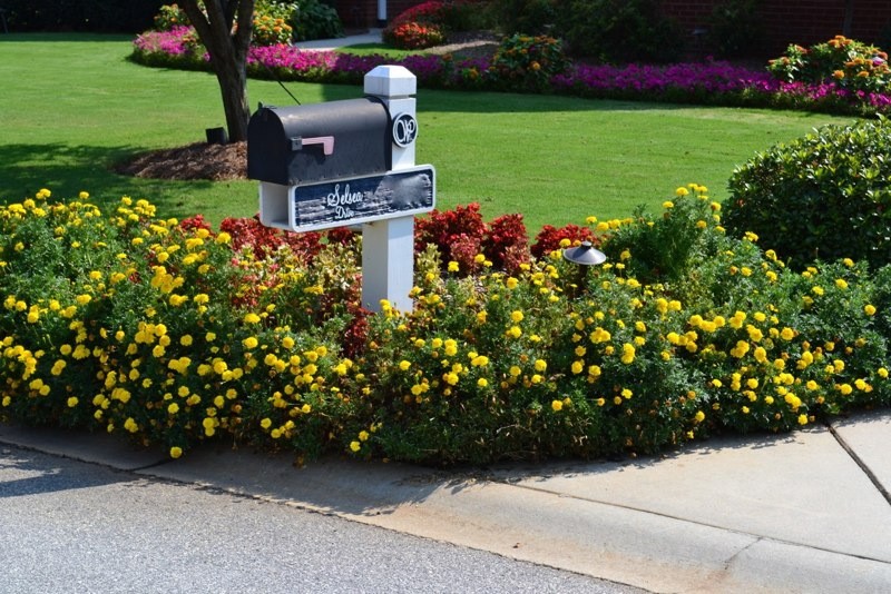 Landscaping & Hardscaping