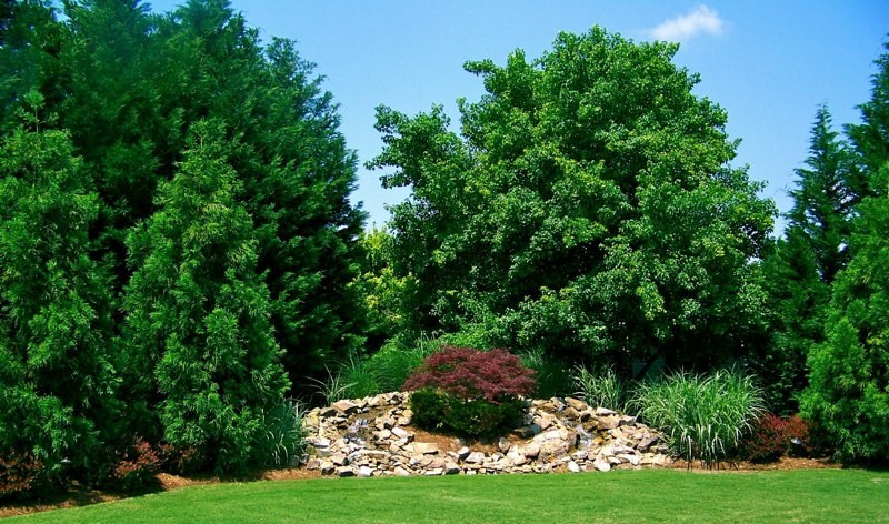 Landscaping & Hardscaping