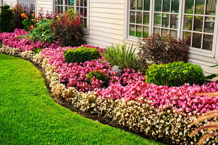Landscaping & Hardscaping