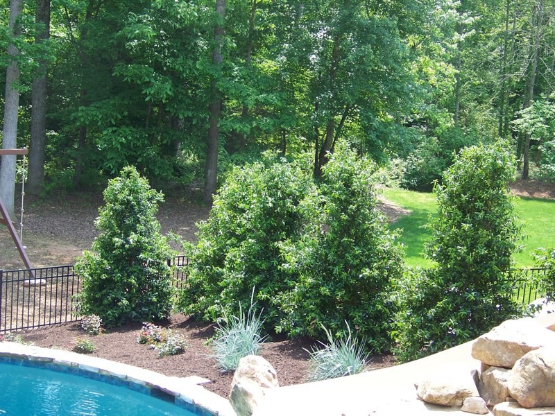 Landscaping & Hardscaping