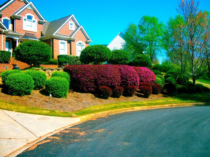Landscaping & Hardscaping