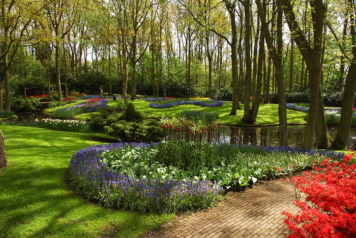 Landscaping & Hardscaping