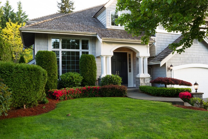 Landscaping & Hardscaping