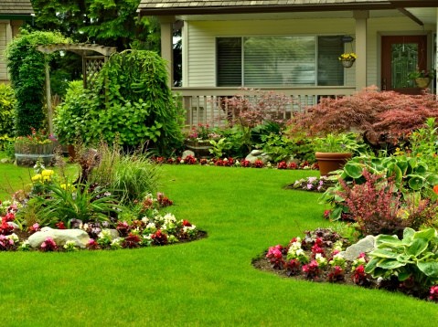 Landscaping & Hardscaping