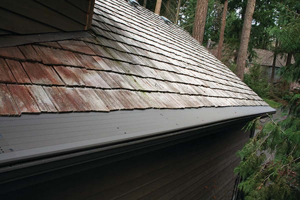Gutter Protection