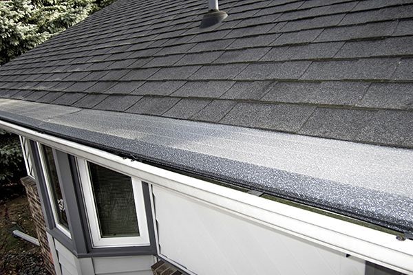 Gutter Protection