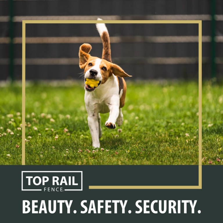 Top Rail Fencing