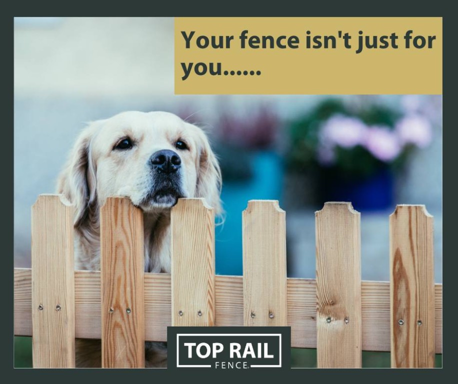 Top Rail Fencing