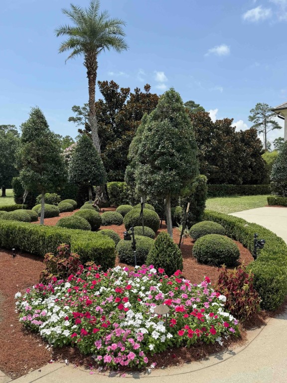 Sanctuary Landscaping Projects