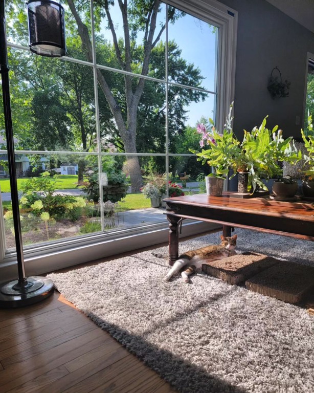 Windows