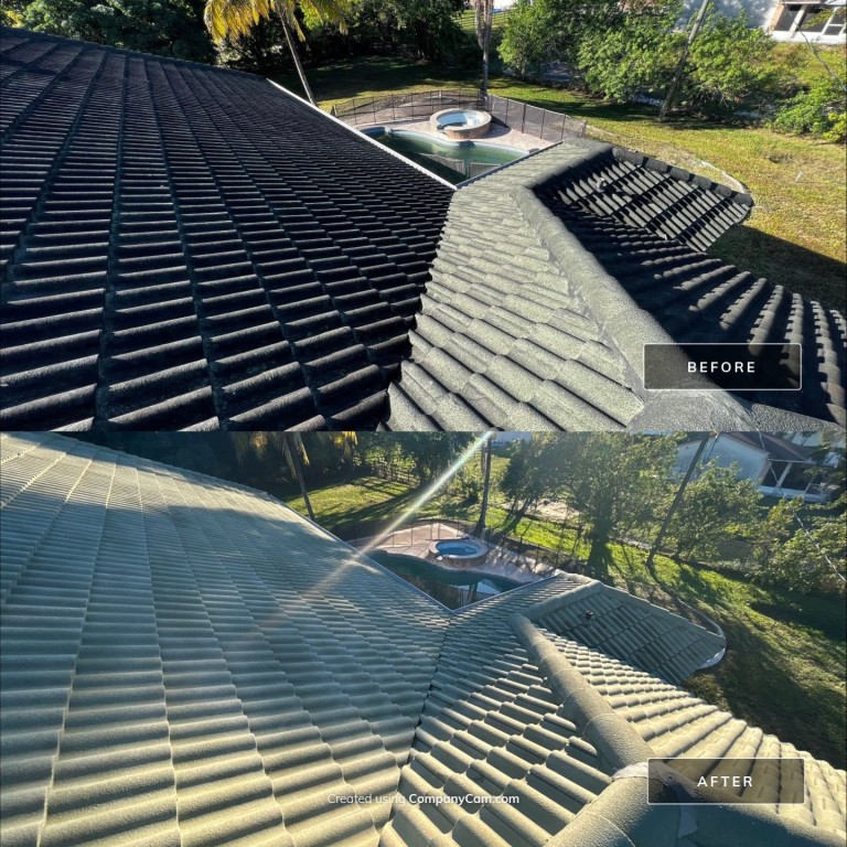 Roof Cleaning: Before & Afters