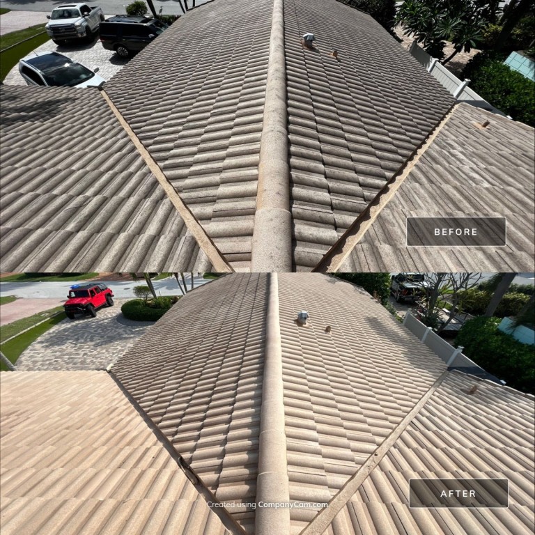 Roof Cleaning: Before & Afters