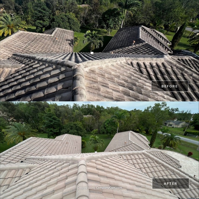 Roof Cleaning: Before & Afters