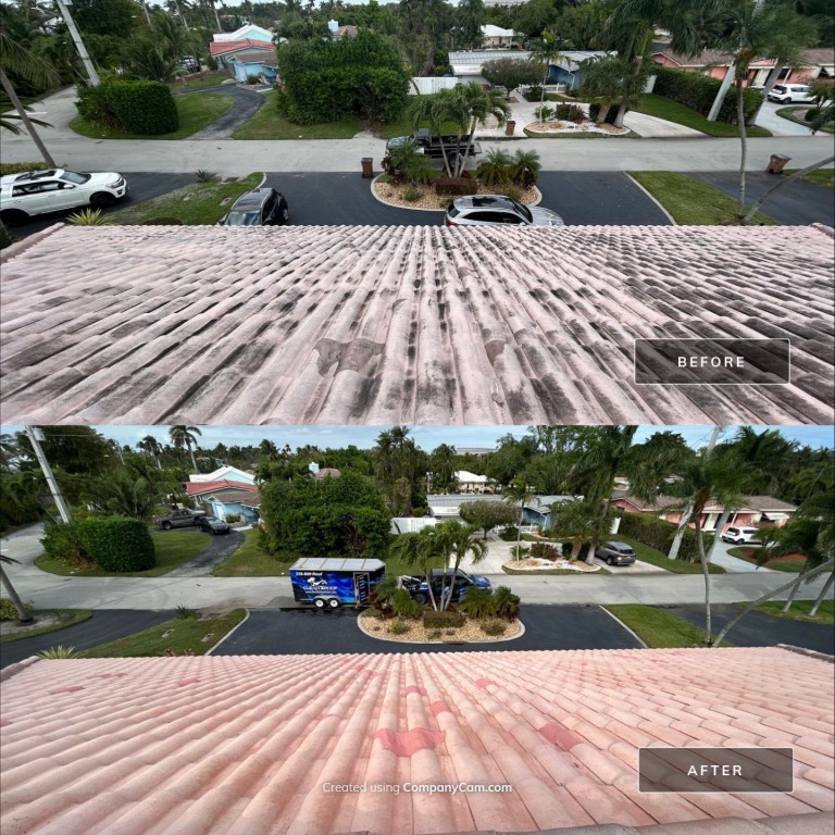 Roof Cleaning: Before & Afters