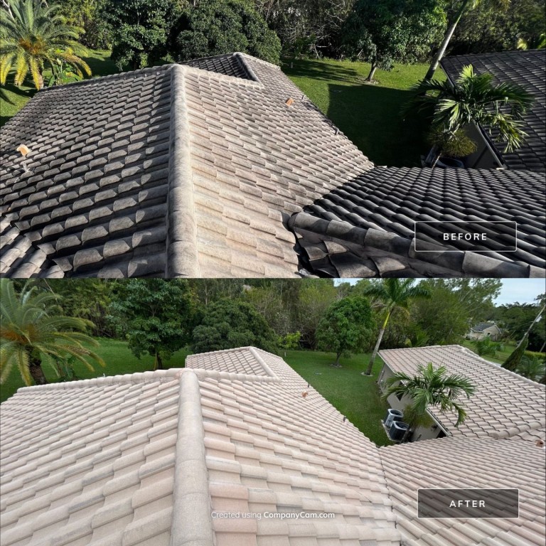 Roof Cleaning: Before & Afters